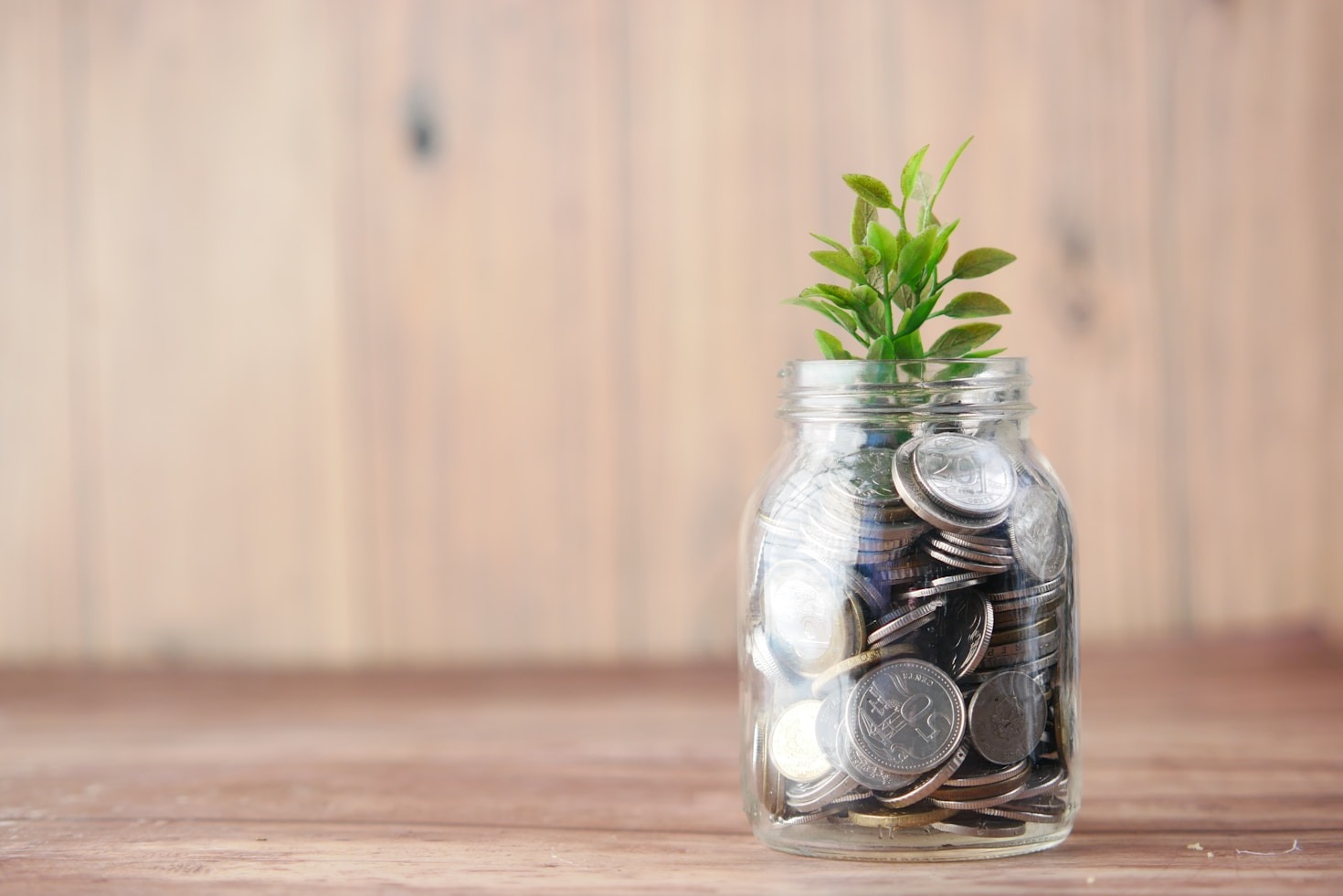Histórias de Sucesso: Startups e Investidores no InNexusHub